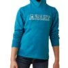 Ariat Youth 3D Logo 2.0 Hoodie