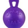 Jolly Pets Tug-N-Toss For Small Dogs