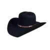 Stetson Monterey 6x Felt Hat
