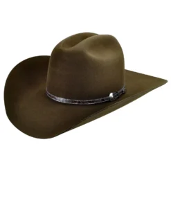 Bailey 3X Roderick Wool Hat