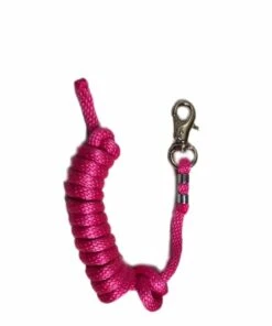 Beagley Braiding Bull Snap Lead Pink
